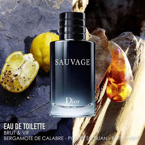 dior sauvage eau de toilette ingredients|dior sauvage concentrations.